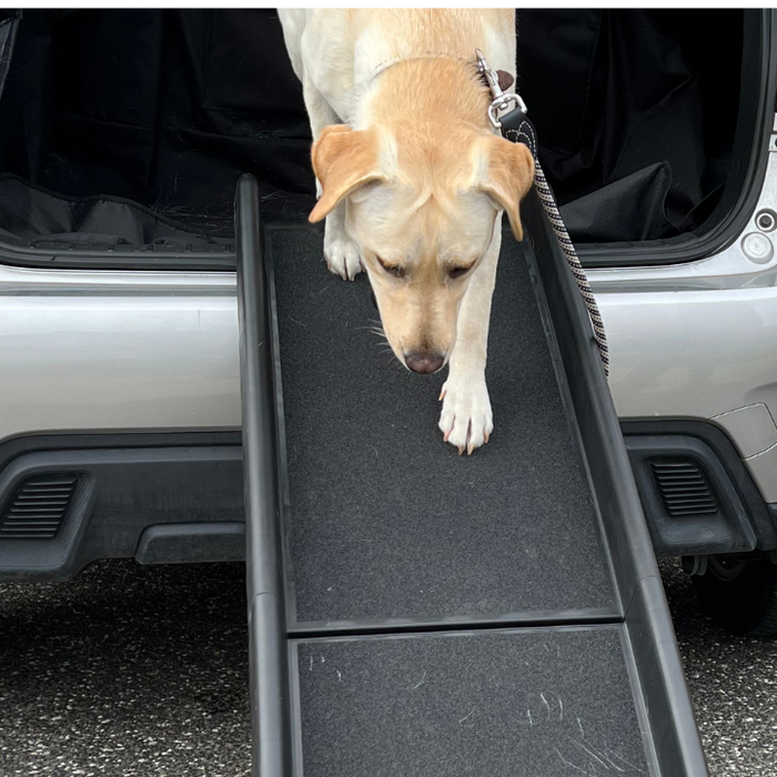 Elevating Your Pet's World: The Magic of Pet Steps and Pet Ramps