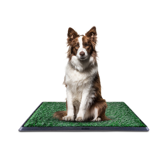 Pet Basic Portable Dog Potty Trainer