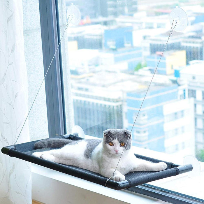 Cat Window Mounted Bed