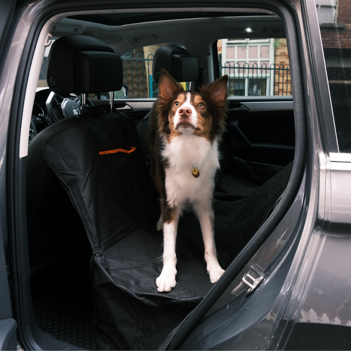 The Ultimate Guide to Choosing the Perfect Pet Seat Cover for Your Car