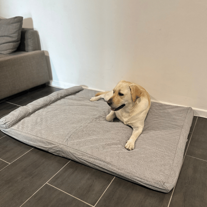 Waterproof Premium Heavy Duty Memory Foam Pet Bed