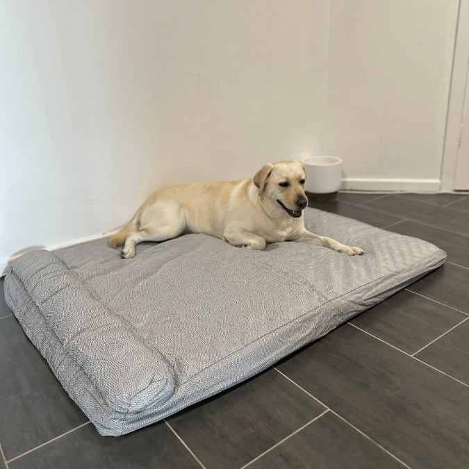 Waterproof Premium Heavy Duty Memory Foam Pet Bed