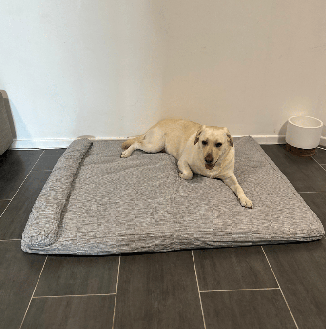 Waterproof Premium Heavy Duty Memory Foam Pet Bed