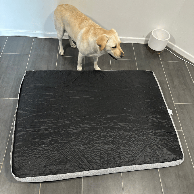 Waterproof Premium Heavy Duty Memory Foam Pet Bed