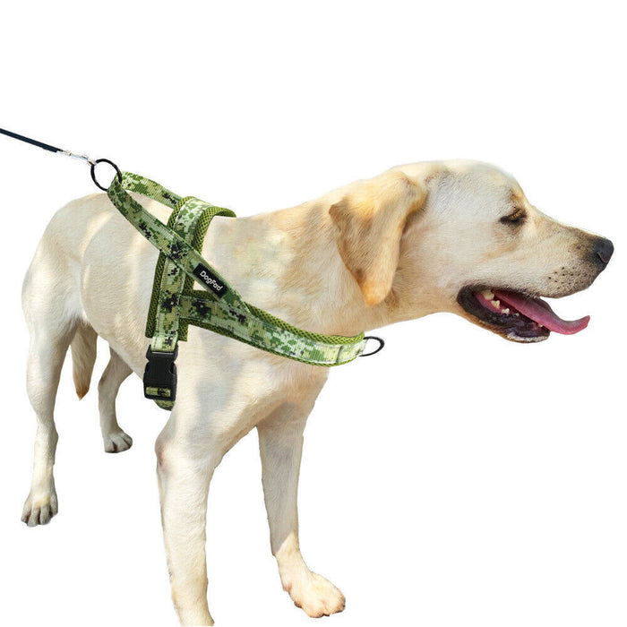 No Pull Dog Harness