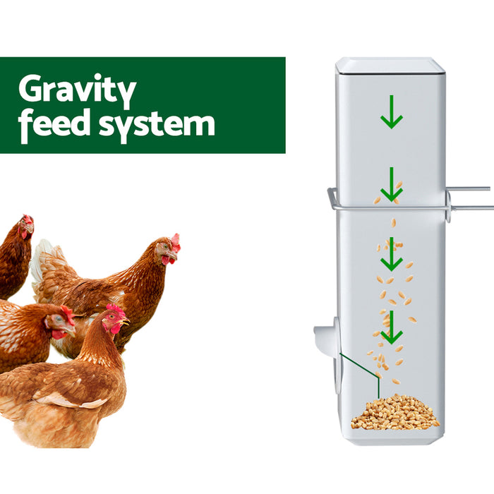 Chicken Feeder 