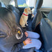 pet car seat cover