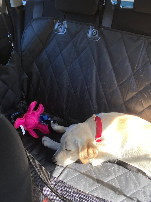 Pet Car Seat Cover  + FREE Dog Seat Belt Buckle