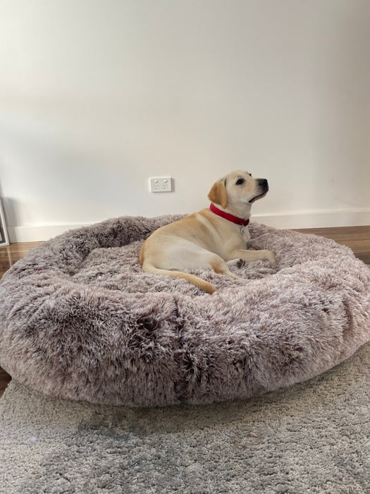Removable Cover Premium Colour Calming Dog bed