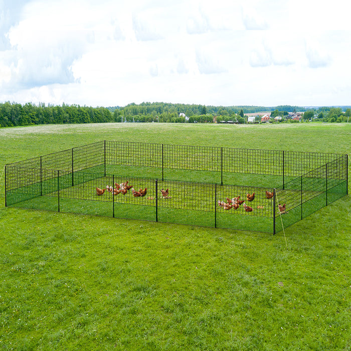 Chicken Fence