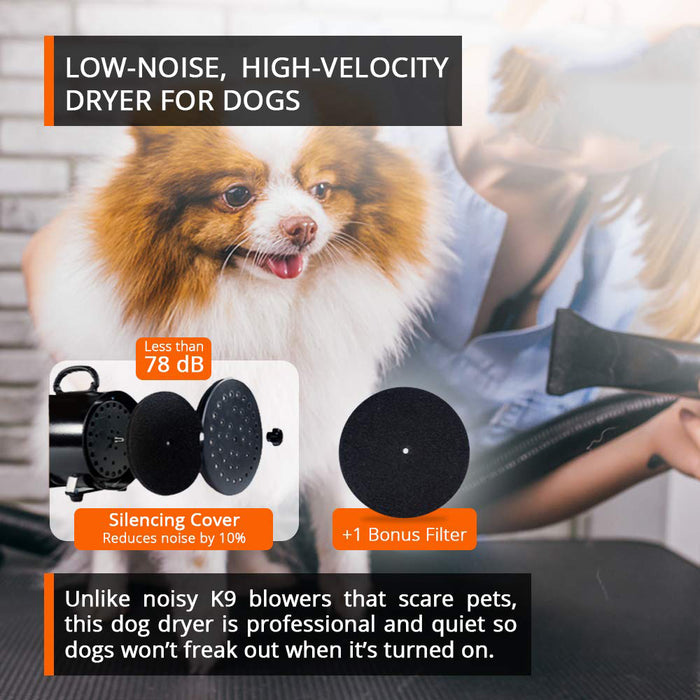 2800W Dog Dryer