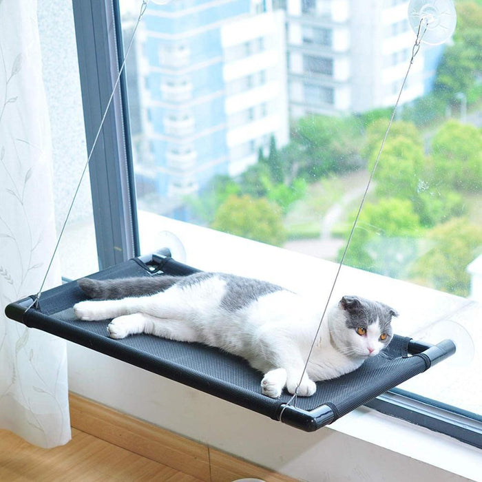 Cat Window Mounted Bed