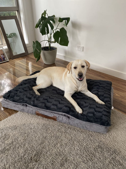 Pawz Dog Memory Foam Mattress - petpawz.com.au