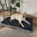 Pawz Dog Memory Foam Mattress - petpawz.com.au