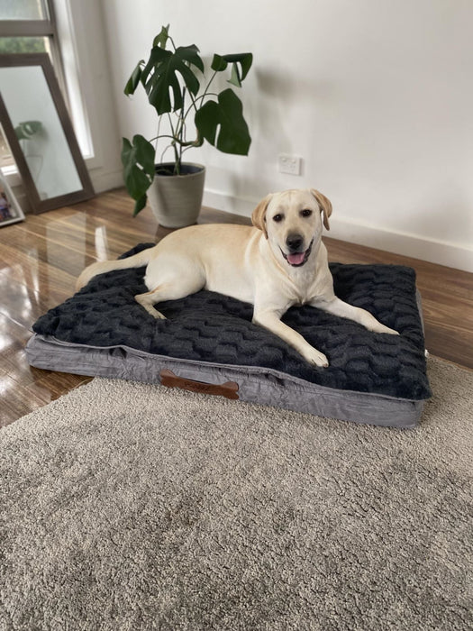 Pawz Dog Memory Foam Mattress - petpawz.com.au