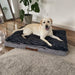 Pawz Dog Memory Foam Mattress - petpawz.com.au