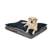 Pawz Dog Memory Foam Mattress - petpawz.com.au