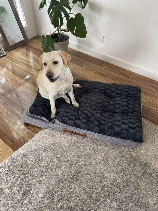 Pawz Dog Memory Foam Mattress - petpawz.com.au