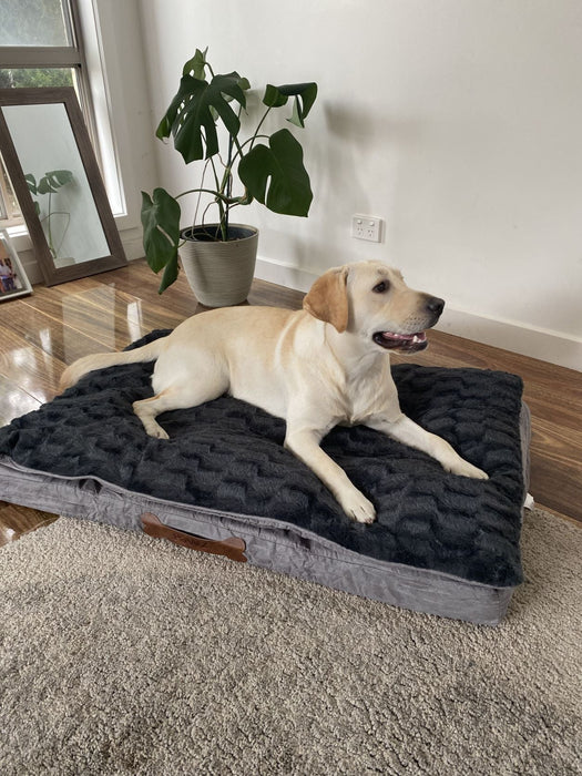 Pawz Dog Memory Foam Mattress - petpawz.com.au