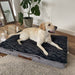 Pawz Dog Memory Foam Mattress - petpawz.com.au