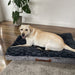 Pawz Dog Memory Foam Mattress - petpawz.com.au