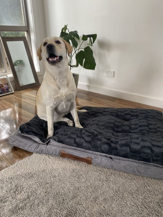 Pawz Dog Memory Foam Mattress - petpawz.com.au