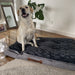 Pawz Dog Memory Foam Mattress - petpawz.com.au