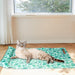 PaWz Dog Summer Cooling Mat - petpawz.com.au