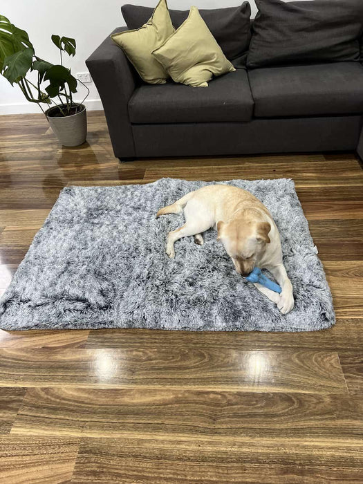 PaWz Multimat Calming Bed For Dog - petpawz.com.au