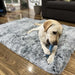 PaWz Multimat Calming Bed For Dog - petpawz.com.au