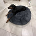 Pawz Non-Removable Calming Pet Bed - petpawz.com.au