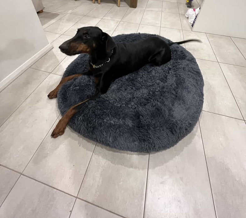 Pawz Non-Removable Calming Pet Bed - petpawz.com.au