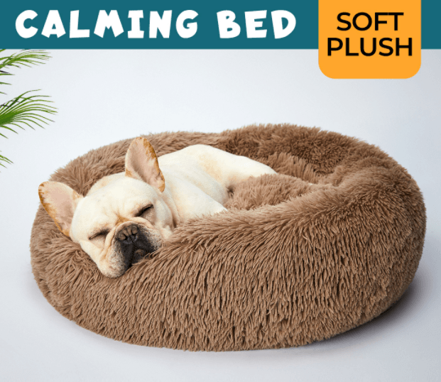 Pawz Non-Removable Calming Pet Bed - petpawz.com.au