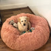 Pawz Non-Removable Calming Pet Bed - petpawz.com.au