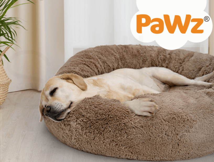 Pawz Non-Removable Calming Pet Bed - petpawz.com.au