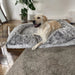 PaWz Pet Orthopaedic Bed - petpawz.com.au