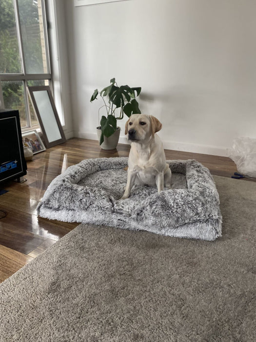 PaWz Pet Orthopaedic Bed - petpawz.com.au