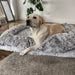 PaWz Pet Orthopaedic Bed - petpawz.com.au