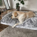 PaWz Pet Orthopaedic Bed - petpawz.com.au