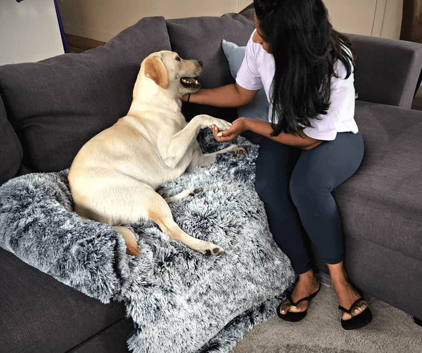 PaWz Pet Sofa Cover - petpawz.com.au