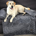 PaWz Pet Sofa Cover - petpawz.com.au