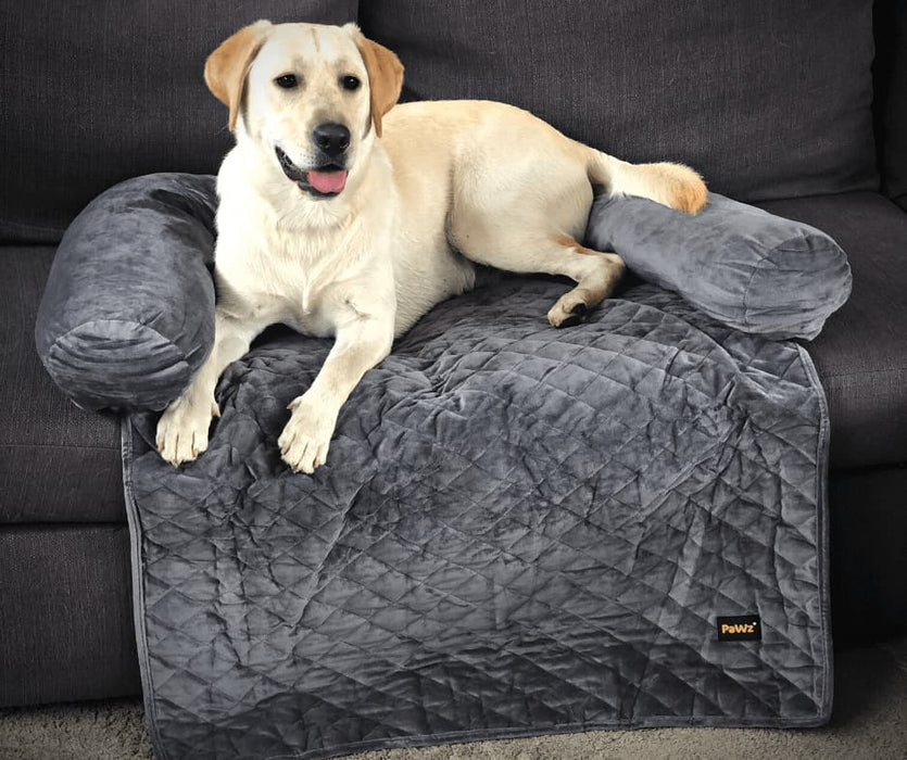 PaWz Pet Sofa Cover - petpawz.com.au