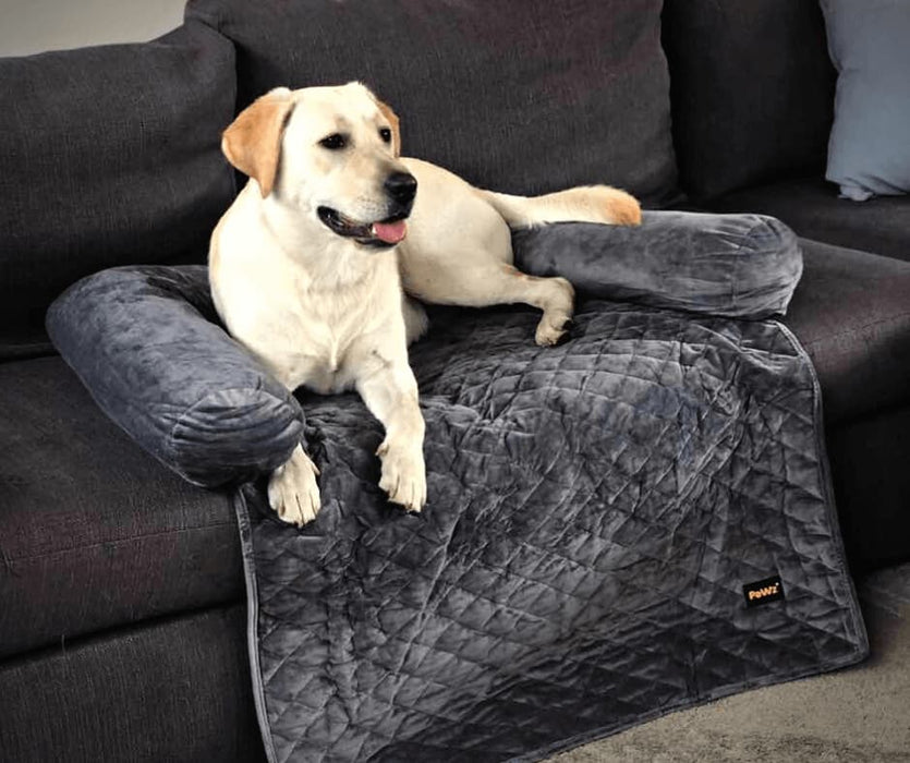 PaWz Pet Sofa Cover - petpawz.com.au