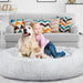 The Human Size Nap Bed - petpawz.com.au