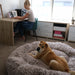 The Human Size Nap Bed - petpawz.com.au