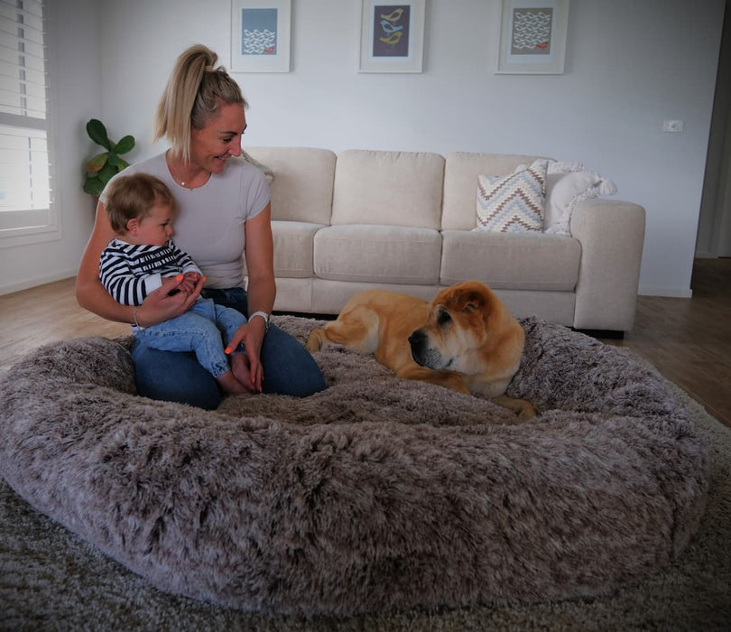 The Human Size Nap Bed - petpawz.com.au