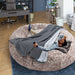 The Human Size Nap Bed - petpawz.com.au