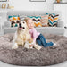 The Human Size Nap Bed - petpawz.com.au